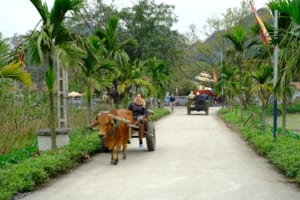 Jeep tour Ninh Binh