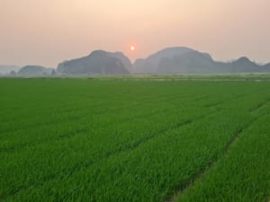 Ninh Ninh Vespa Tours - Ninh Binh Scooter Tours - Ninh Binh Motorbike Tours