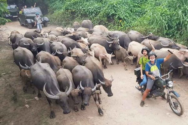 Hanoi countryside Motorbike Tour