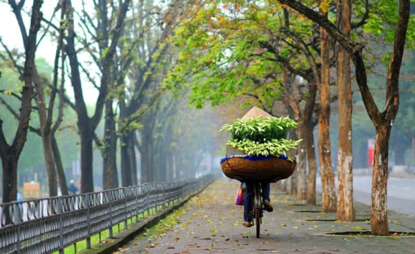 Vietnam Backstreet Tours