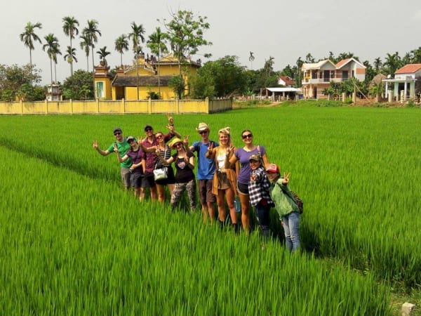 Hoi An Backstreet Tours - Paddy field on biking tour