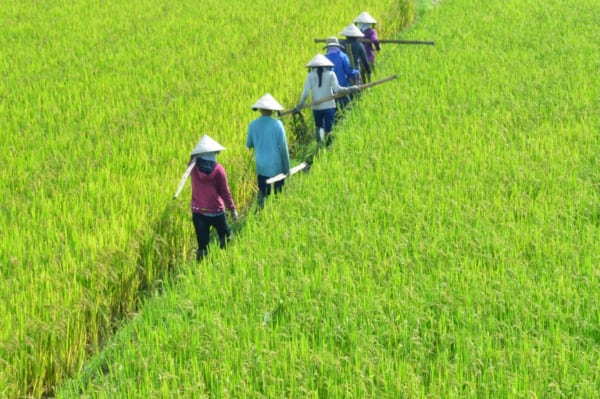 Hoi An Countryside - Hanoi Backstreet Tours