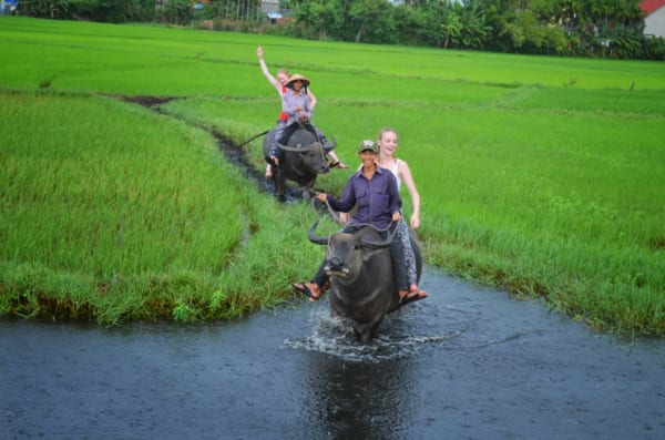 Hoi An Countryside - Hanoi Backstreet Tours - riding buffalo