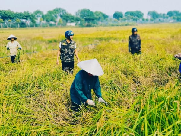 Ninh Ninh Vespa Tours - Ninh Binh Scooter Tours - Ninh Binh Motorbike Tours