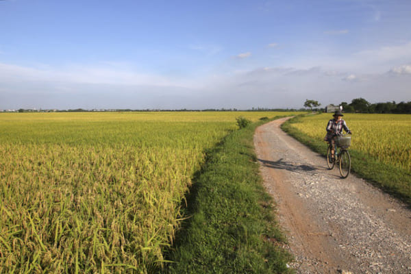 Vietnam Backstreet Tours - Hanoi Backstreet Tours