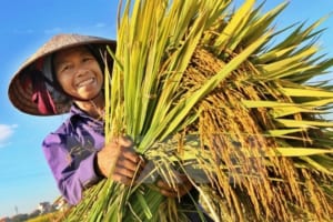 Hanoi Countryside Tours