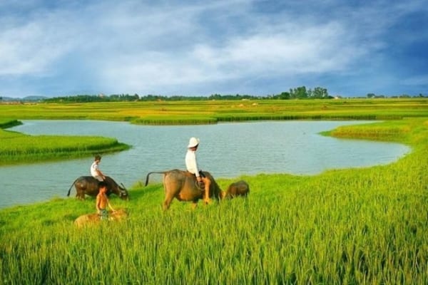 Countryside Tour Hanoi, Hanoi Countryside Sidecar Tour, Hanoi Countryside Jeep Tour- Hanoi Countryside Vespa Tours