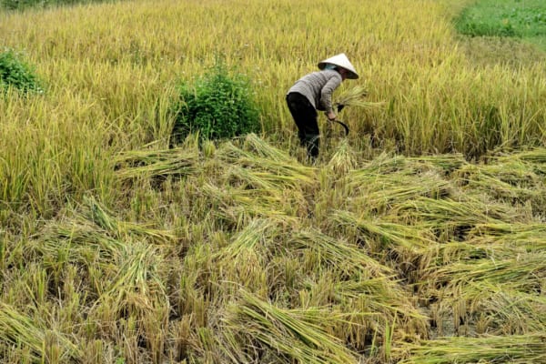 Hanoi Countryside Tours