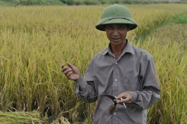 Hanoi Sidecar Countryside Tours - Hanoi Countryside Jeep Tours - Hanoi Countryside Motorbike Tour