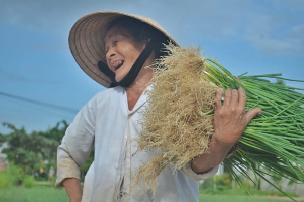 Hanoi Sidecar Countryside Tours - Hanoi Countryside Jeep Tours - Hanoi Countryside Motorbike Tour. Hanoi Countryside Tour by Jeep/ Vespa/Sidecar