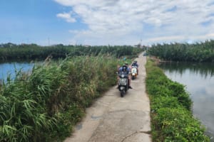 Hoi An Vespa Tour 