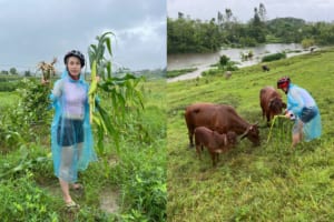 Jeep tour to Duong Lam Ancient Village from Hanoi