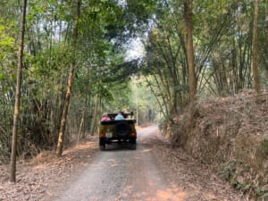 Hanoi Countryside Jeep Tour to Duong Lam Ancient Village 