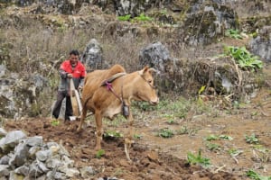 Best Jeep Tour Ha Giang - Ha Giang Jeep Tours