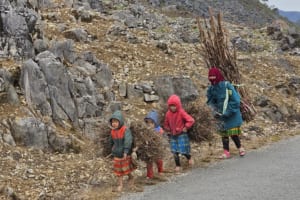 Best Jeep Tour Ha Giang - Ha Giang Jeep Tours