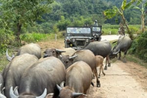 Best Jeep Tour Ha Giang - Ha Giang Jeep Tours