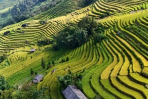 Best Jeep Tour Ha Giang - Ha Giang Jeep Tours