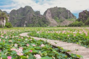 Ninh Binh Jeep Tours