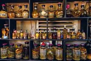 Hanoi Exotic Food Tour- Hanoi Bizarre Food Tour- Hanoi Food Tour - Snake Village Hanoi 