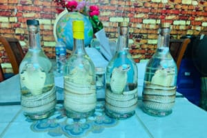 Hanoi Exotic Food Tour- Hanoi Bizarre Food Tour- Hanoi Food Tour - Snake Village Hanoi 