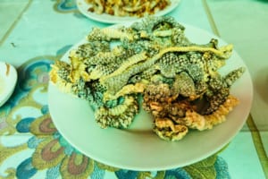 Hanoi Exotic Food Tour- Hanoi Bizarre Food Tour- Hanoi Food Tour - Snake Village Hanoi 