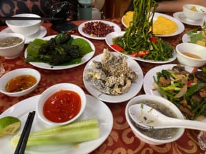 Hanoi Exotic Food Tour- Hanoi Bizarre Food Tour- Hanoi Food Tour - Snake Village Hanoi 