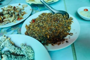 Hanoi Exotic Food Tour- Hanoi Bizarre Food Tour- Hanoi Food Tour - Snake Village Hanoi 
