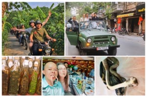 Hanoi Exotic Food Tour- Hanoi Bizarre Food Tour- Hanoi Food Tour