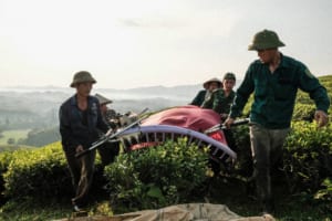 Long Coc Tours